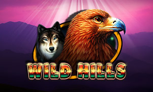 Vista previa del juego Wild Hills